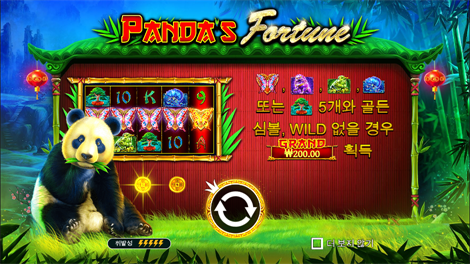 파이럿 골드 디럭스